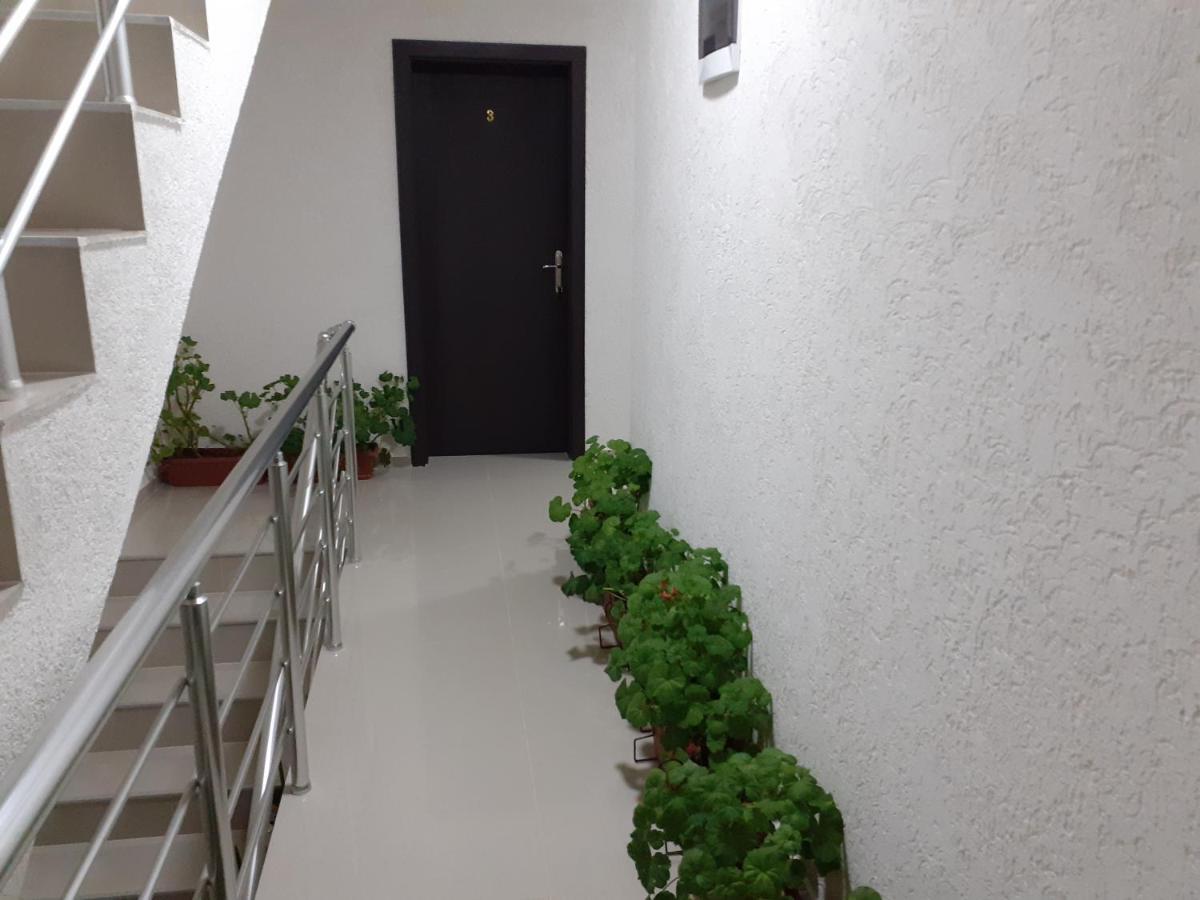 Apartments Filemi Ohrid Exterior photo